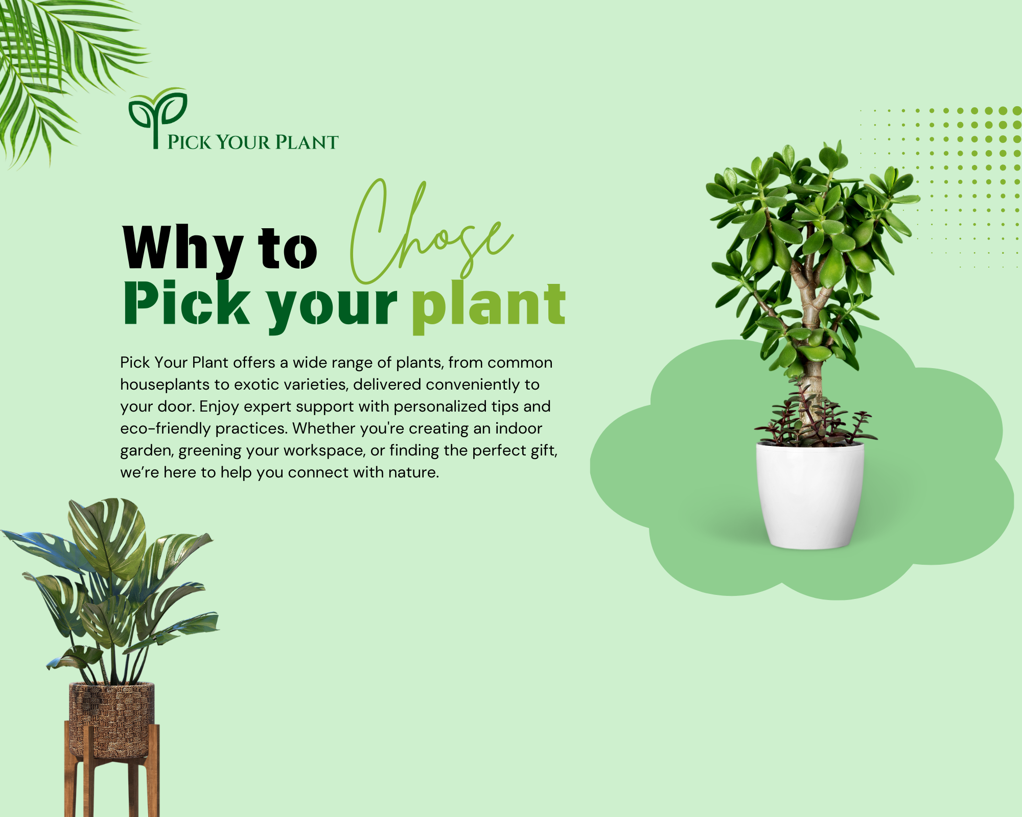 Why Choose Pick Your Plant?