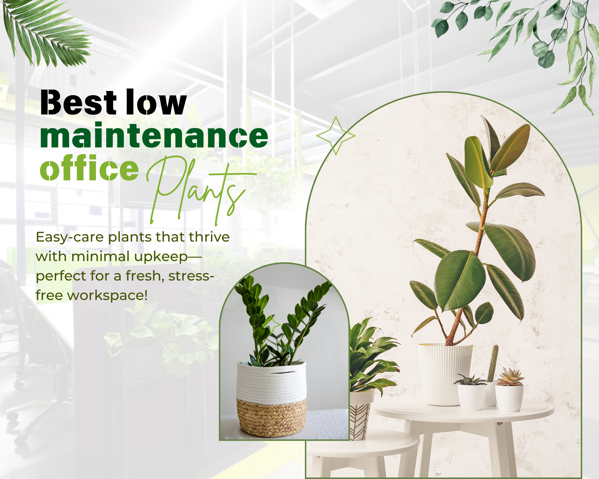 15 Best Low-Maintenance Office Plants