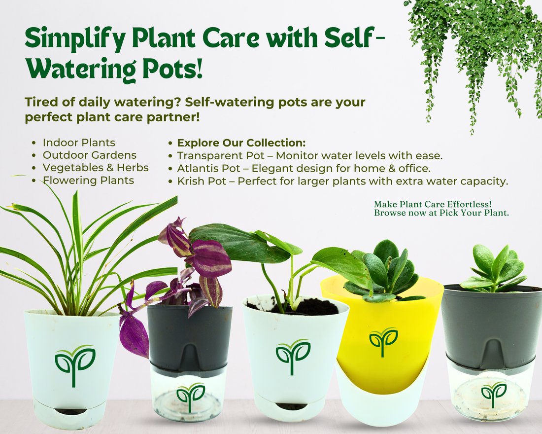 Do Self-Watering Pots Really Simplify Plant Care?