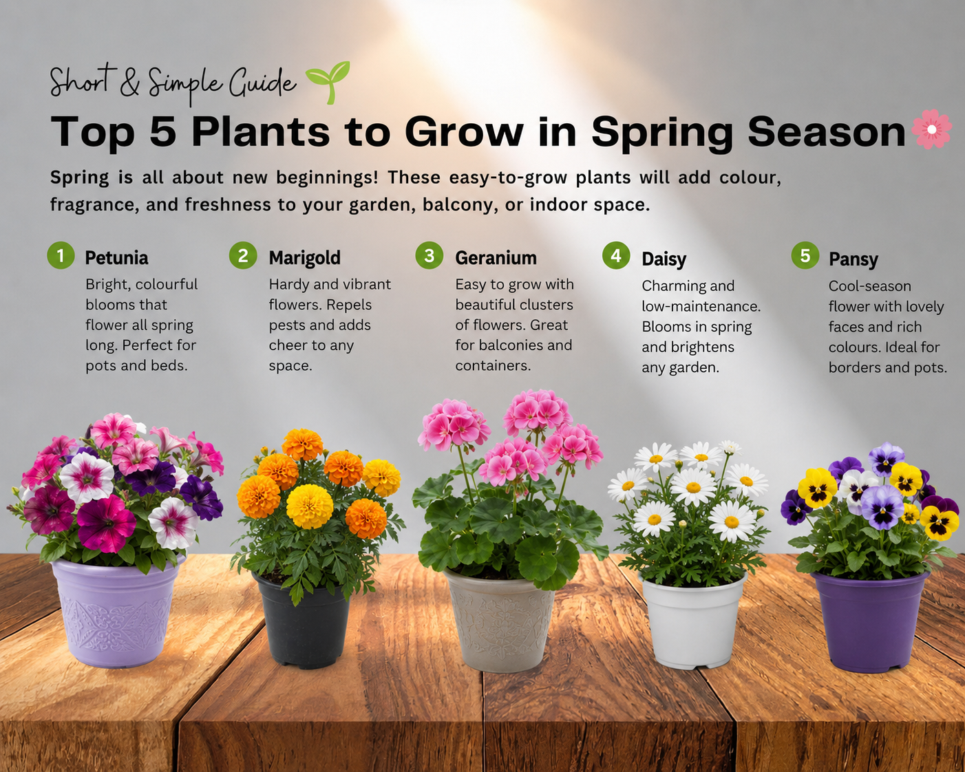 Top 5 Plants to Grow This Spring Season