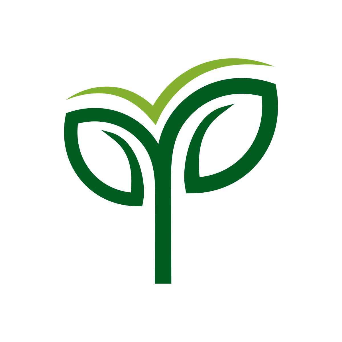 A clean, modern logo featuring a dark green sapling with two symmetrical leaves and a lighter green accent line above them, symbolizing growth and nature.