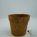 Coir Pot