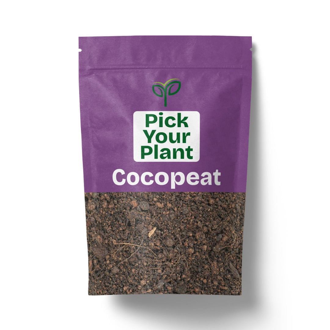 Coco Peat – Pick Your Plant