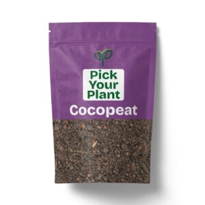 Coco Peat