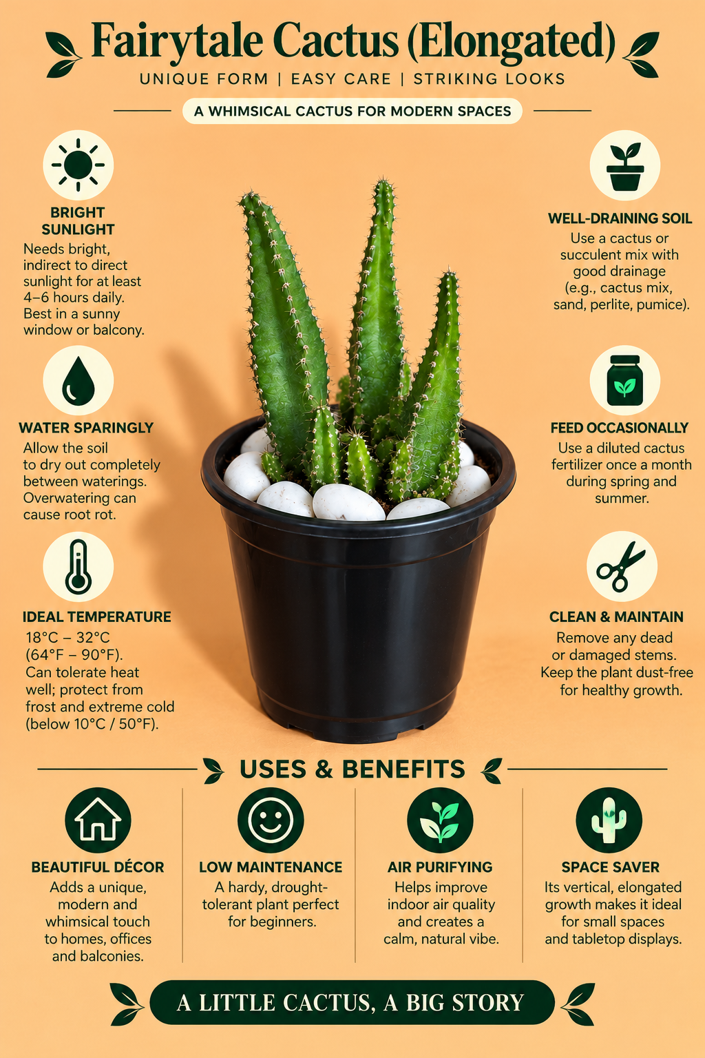 Fairytale Cactus Elongated (1pc)