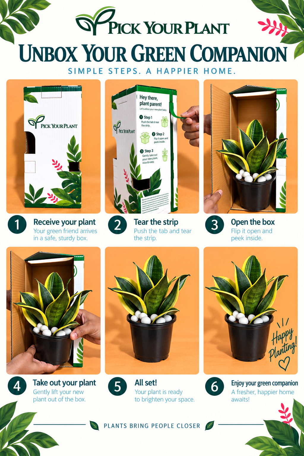 Snake Plant (1pc)