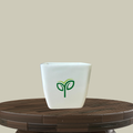 3 Inch Plastic Square Pot