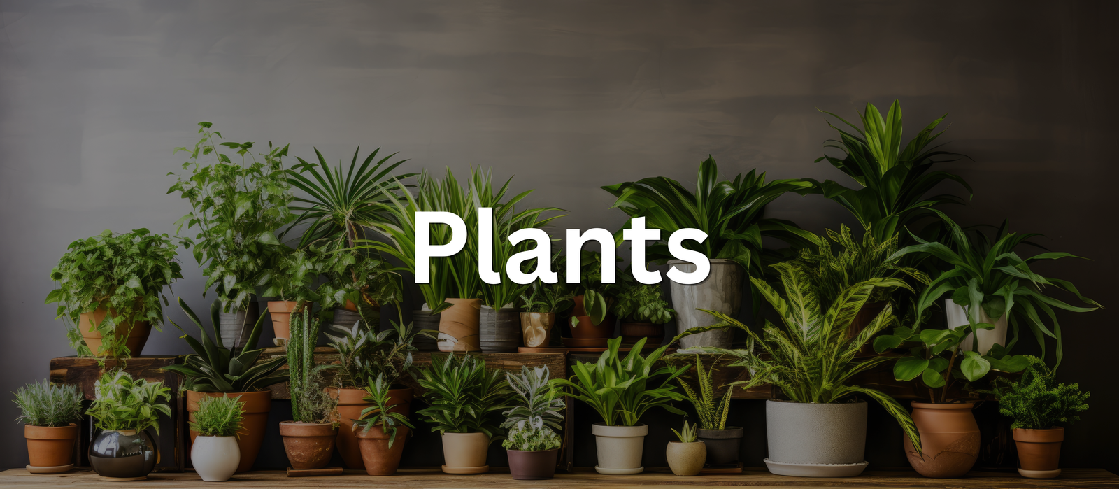 Plants banner