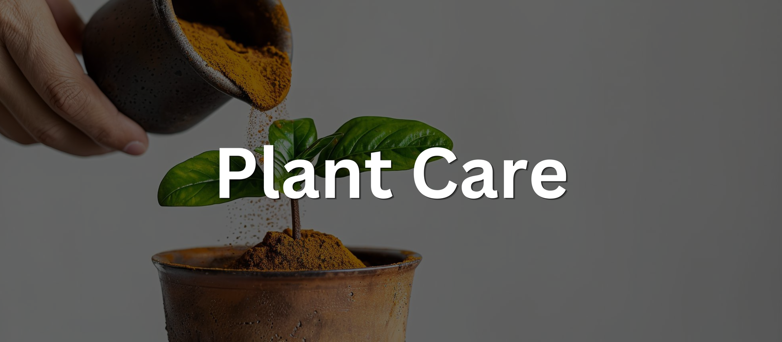 Plant Care banner