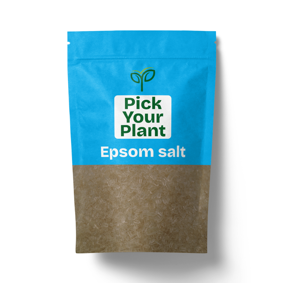 epsom salt for snake plant Epsom Salt – Pick Your Plant