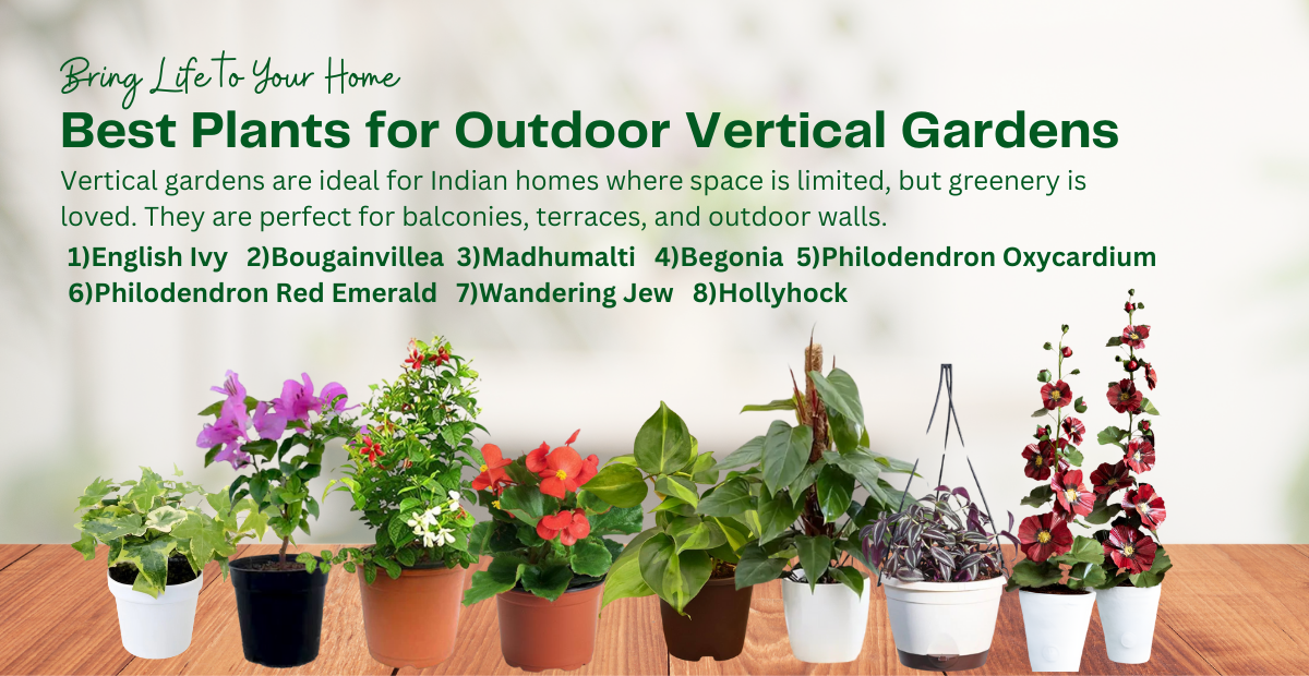 8 Best Plants for Outdoor Vertical Gardens in India.